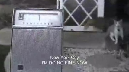 New York City- I`m Doing Fine Now 1973