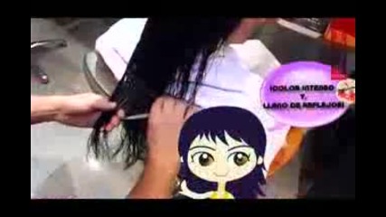 Dulce Maria 100 Color Garnier