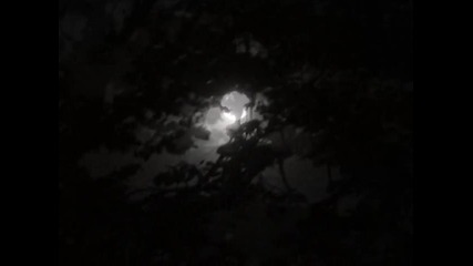 Swallow the Sun - New Moon (2009) 