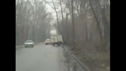 Дърво на пътя