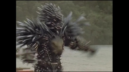 Power Rangers Jungle Fury [15] Bad To The Bone
