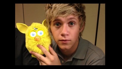 happy birthday niall