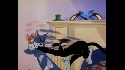 Tom Jerry 28 