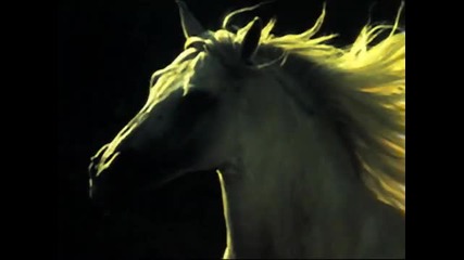 Andre Rieu - Ouverture Wilhelm Tell
