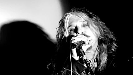 The Dead Daisies - Мexico