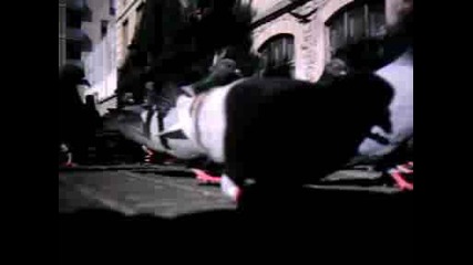 Dmc 4898 гълъби.avi