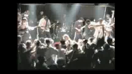 Mosh Pit Tribute