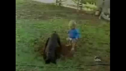 Яки падания 