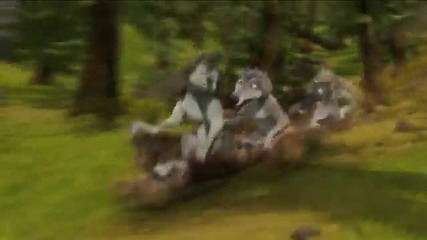 Alpha & Omega - Wolf Pile 