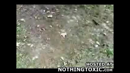 Салто по нос