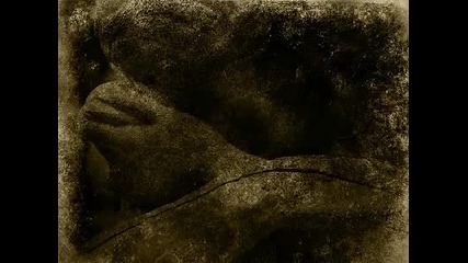 Wine From Tears - Angels Also Die + Since I Fell