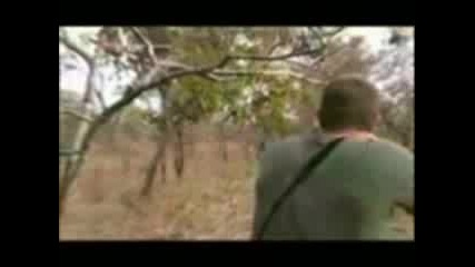 Safari Hunting - Dangerous Animals