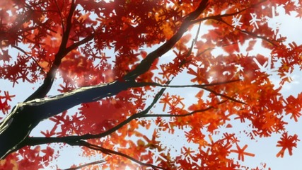 [otakubg] House of Five Leaves - 10 [bg subs]