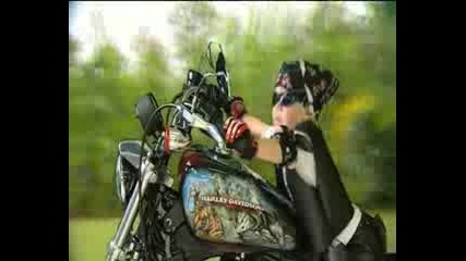 Steve Irwin Tribute Harley Davidson Motorcycle