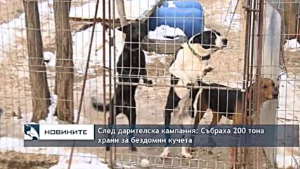След дарителска кампания: 200 тона храни за бездомни кучета