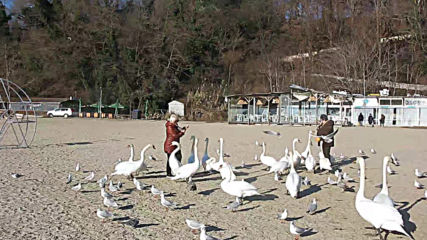 Varna - Black Sea Coast today 013