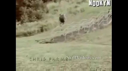 Без риск, няма живот! (част 4) 