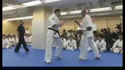 Артур Оганесян - Hyakunin kumite ( 100те боя на Артур ) 2009г.