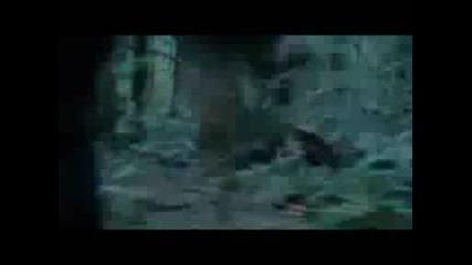 kiss my eyes and lay me to sleep - twilight