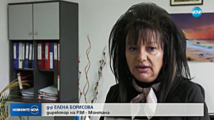 Новините на NOVA (27.02.2019 - централна)