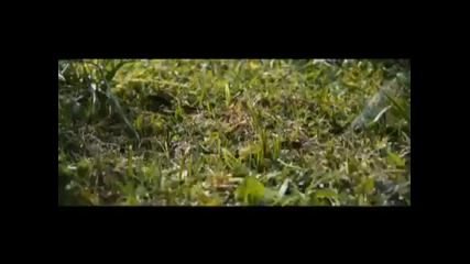 The Final Destination 3d Trailer 
