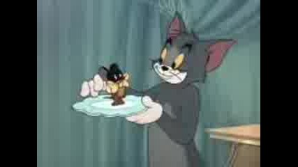Tom&jerry Gipsy Cats