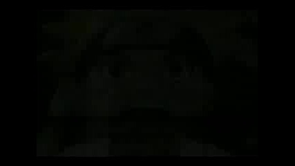 Sasuke Uchiha - Fade To Back