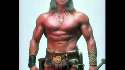 Arnold Schwarzenegger Movie Star Bodybuilder amp Governor