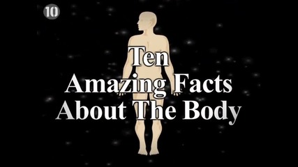 Топ 10 факти за човешкото тяло Hd качество