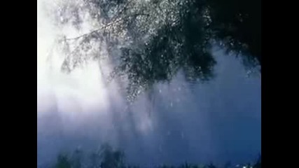 Chris Spheeris - Carino