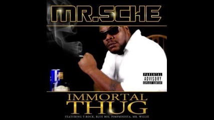 Mr. Sche feat. Blue Boi & Mr. Willie - No Peace [hq]