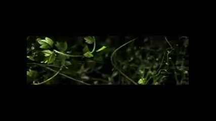 Madonna - Like it or not Ct Backdrop