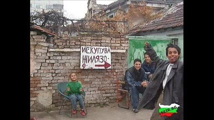seir.bg 
