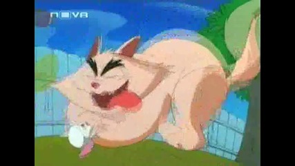 The Cat And Birdy Warneroonie Pinky Brainy Big Cartoonie Show.12.03.08.tvrip.nova-cover