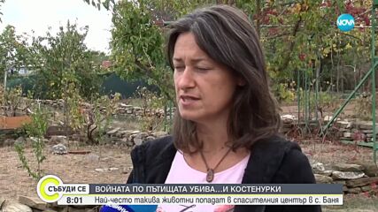 Видео - (2023-10-21 08:24:44)