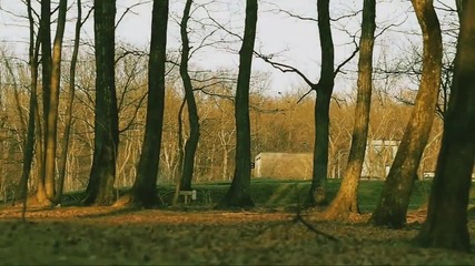 Watch the beautiful nature 