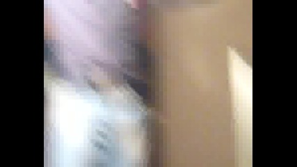 Lud Umora Nqma