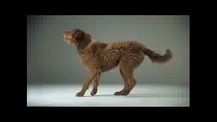 заснета реклама с кучета! Pedigree Catch 