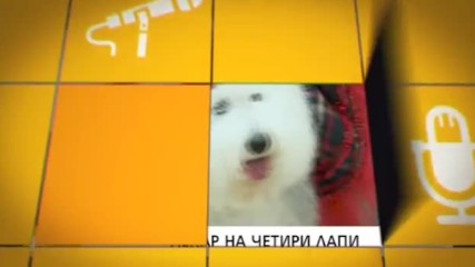 В "Здравей, България" на 27 декември очаквайте