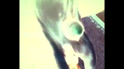 100 %125%smqh sex haha :) :d