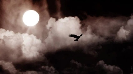 Carlos Fox - Half Past Twelve (original Mix) 