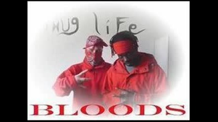 BLOODZ NIGGA