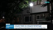 Нашествие на нощни пеперуди : След оплаквания от Стара Загора, сигнали има и от Силистра и Русе