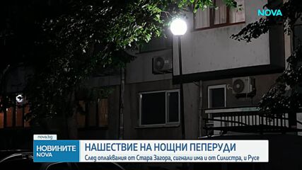 Нашествие на нощни пеперуди : След оплаквания от Стара Загора, сигнали има и от Силистра и Русе