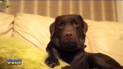 Fail And Win Compilation