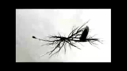 Masters of Reality - Rabbit One