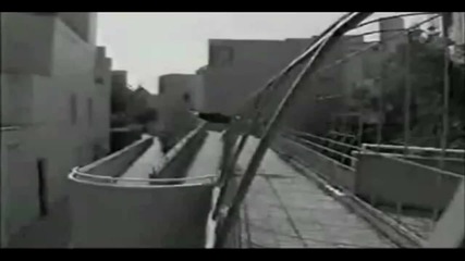Best World Parkour