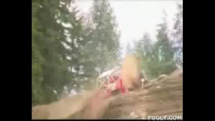 Extreme Off Road