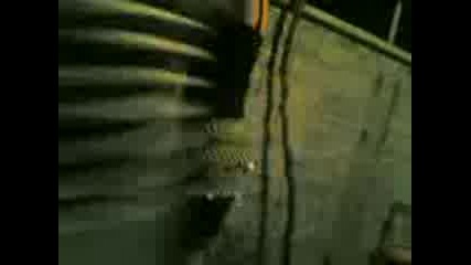06092008(004).3gp