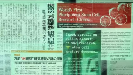 Tekken Blood Vengence Първите 6 Минути от Фолма